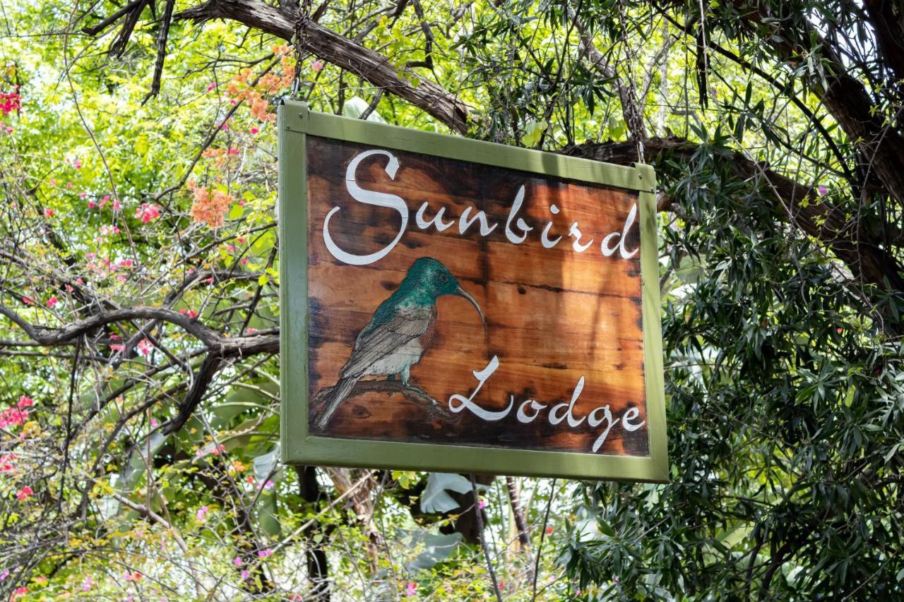 Sunbird Lodge Phalaborwa Extérieur photo
