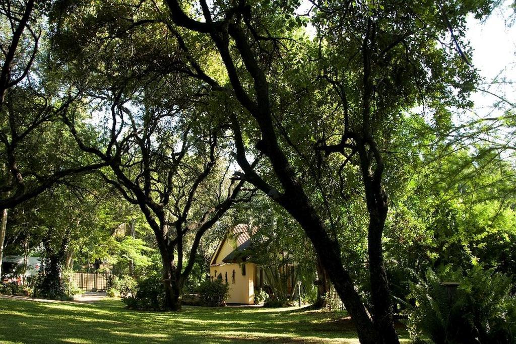 Sunbird Lodge Phalaborwa Extérieur photo