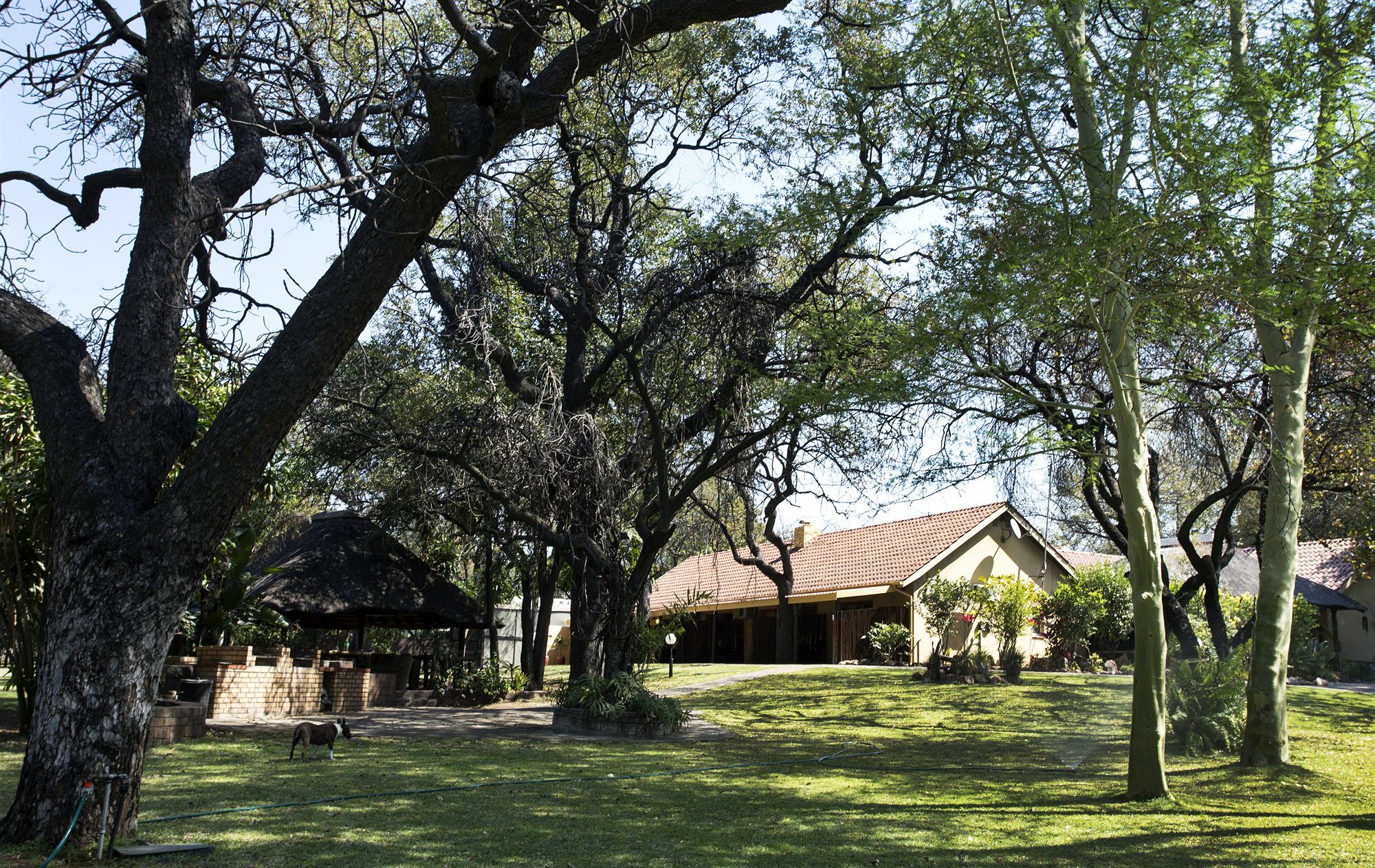 Sunbird Lodge Phalaborwa Extérieur photo