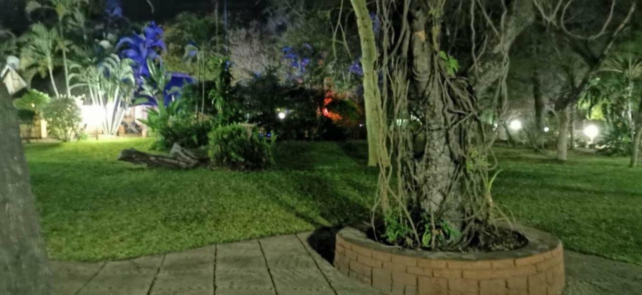 Sunbird Lodge Phalaborwa Extérieur photo
